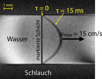 Darstellung des Fließverhaltens mittels der Time-of-Flight Methode