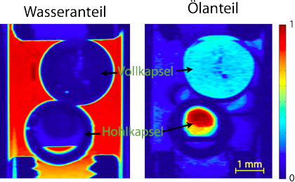 Darstellung des Wasser bzw- Ölanteils in Mikrokapseln mit Hilfe einer Unterdrückugnssequenz der MRI