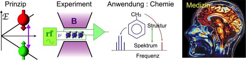 NMR-neu-deutsch