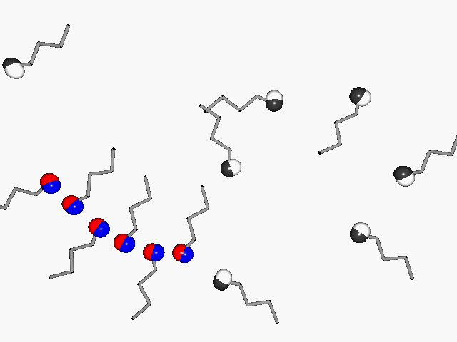 Animation von langen Molekülen welche ein unpolares Ende und ein polares Ende haben wobei die polaren Enden eine Kette bilden